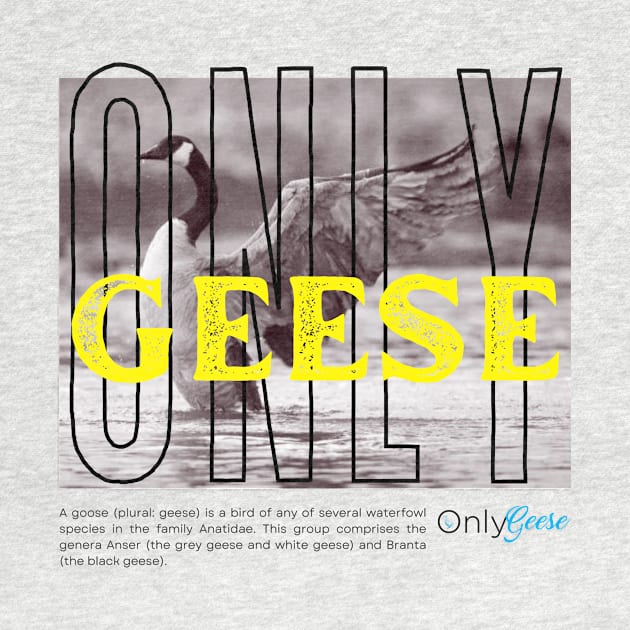 OnlyGeese Streetwear Style by OnlyGeeses